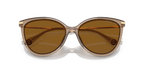 Brown Transparent