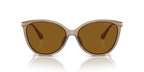 Brown Transparent
