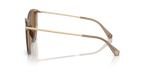 Brown Transparent