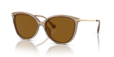 Brown Transparent - Brown Gradient Polarized
