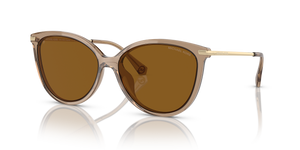 Brown Transparent - Brown Gradient Polarized