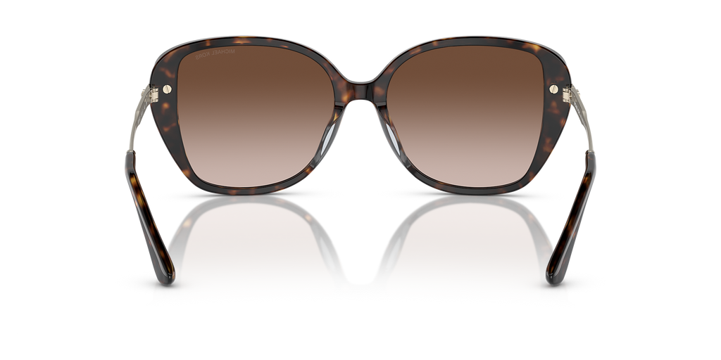 Dark Tortoise