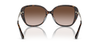 Dark Tortoise