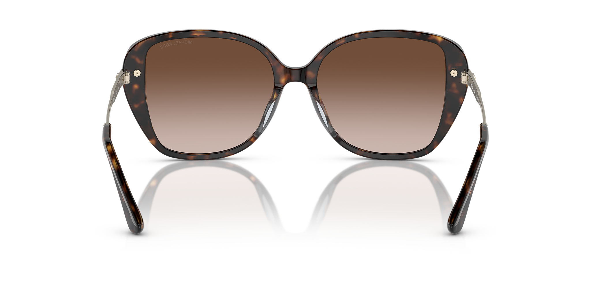 Dark Tortoise