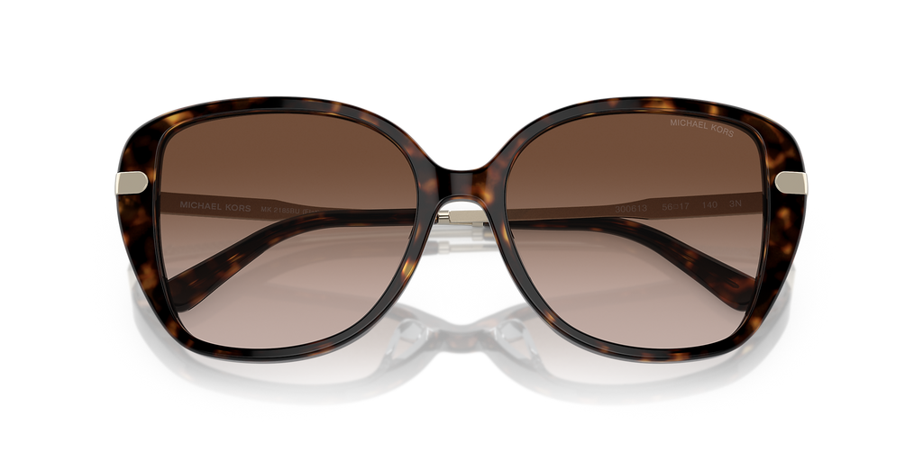 Dark Tortoise