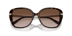 Dark Tortoise