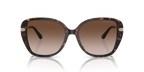Dark Tortoise