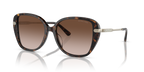Dark Tortoise
