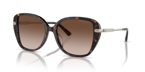 Dark Tortoise - Brown Gradient