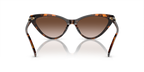 Dark Tortoise