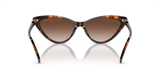Dark Tortoise