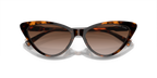 Dark Tortoise