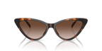 Dark Tortoise