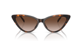 Dark Tortoise