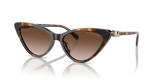 Dark Tortoise