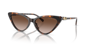 Dark Tortoise - Brown Gradient