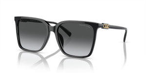 Black - Grey Gradient Polar