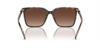 Dark Tortoise