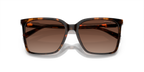 Dark Tortoise