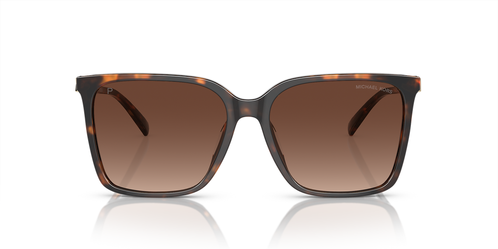 Dark Tortoise