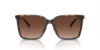 Dark Tortoise