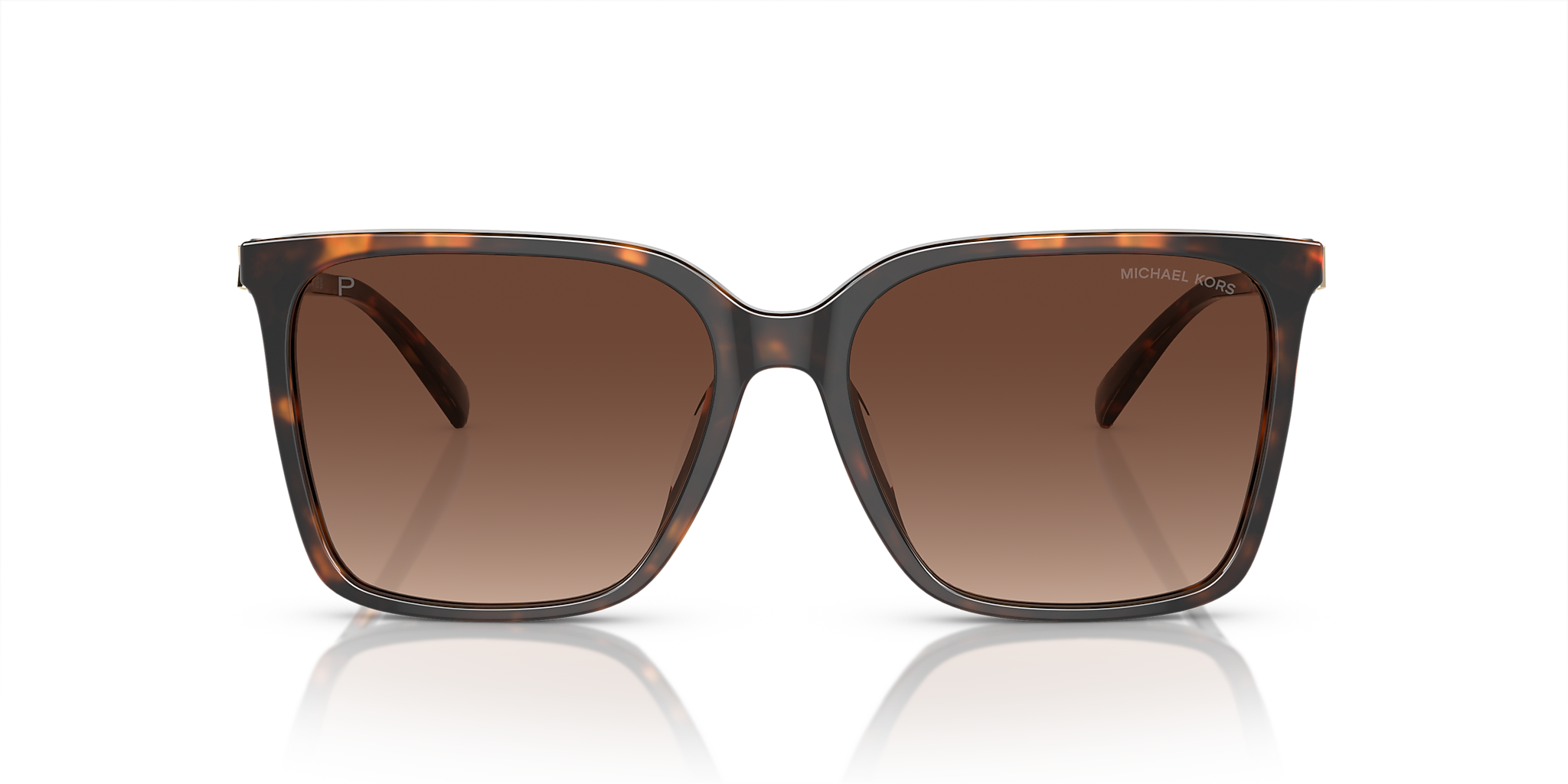 Dark Tortoise