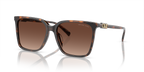 Dark Tortoise