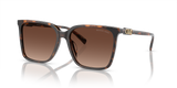 Dark Tortoise