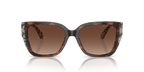 Dark Cream Tortoise