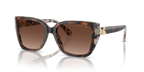 Dark Cream Tortoise