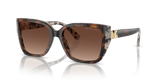 Dark Cream Tortoise - Brown Gradient Polar