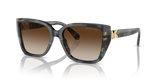Bright Blue Tortoise - Brown Gradient