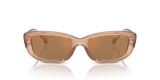 Brown Transparent