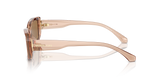Brown Transparent