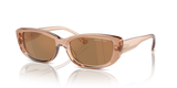 Brown Transparent