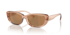 Brown Transparent - Brown Black