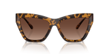Dark Tortoise