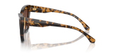 Dark Tortoise