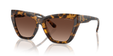 Dark Tortoise