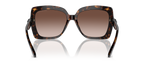 Dark Tortoise