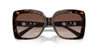 Dark Tortoise