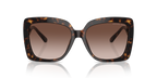 Dark Tortoise