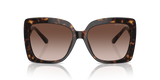 Dark Tortoise