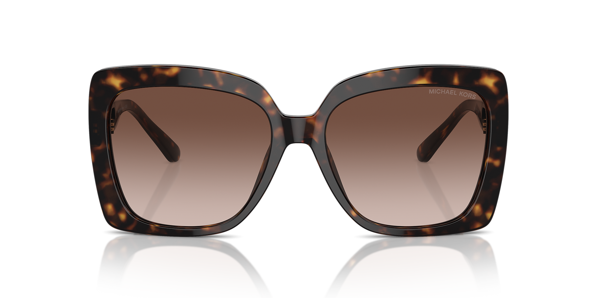 Dark Tortoise