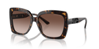 Dark Tortoise
