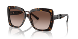 Dark Tortoise