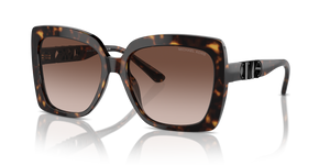 Dark Tortoise - Brown Gradient