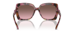 Plum Graphic Tortoise
