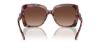 Plum Graphic Tortoise