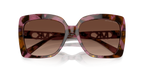 Plum Graphic Tortoise